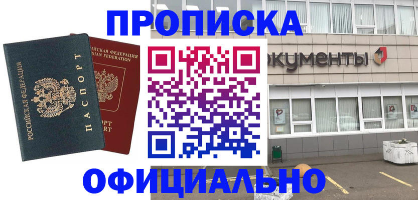 прописка поиск в Ермолино